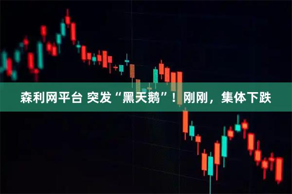 森利网平台 突发“黑天鹅”！刚刚，集体下跌