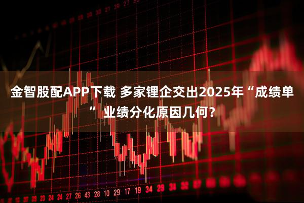 金智股配APP下载 多家锂企交出2025年“成绩单” 业绩分化原因几何？